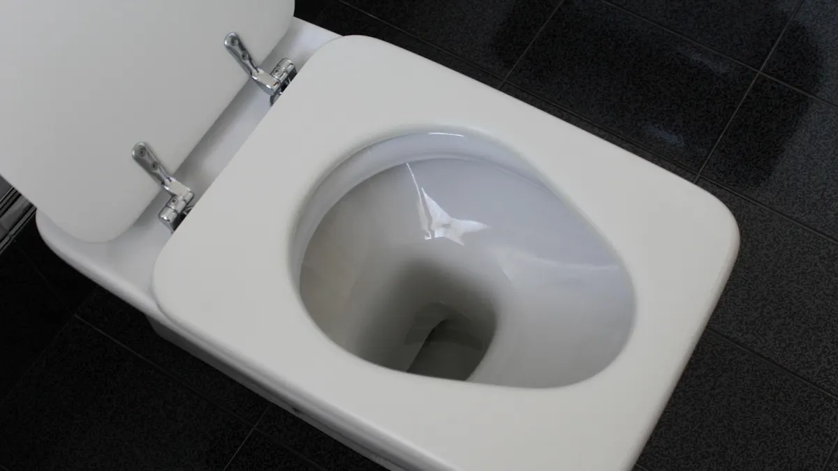 Vaso sanitário branco com assento levantado visto de cima